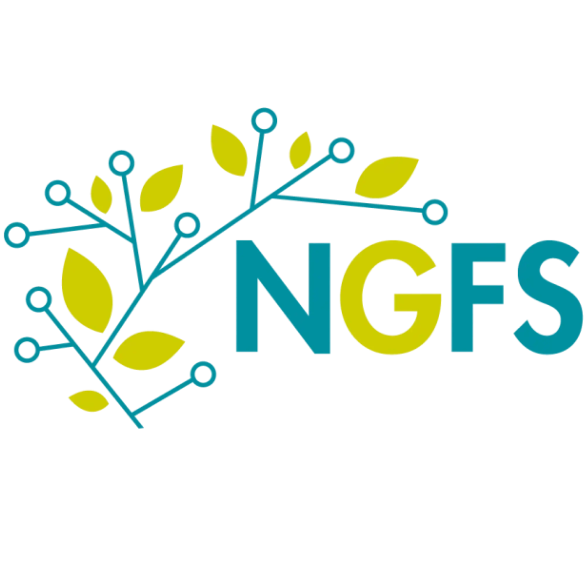 NGFS